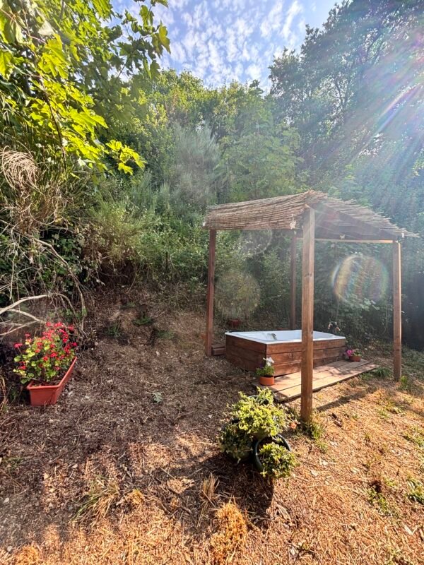Retiro Terapéutico para Mujeres en la Naturaleza - Imagen 4